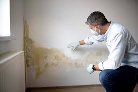 Mold Remediation for Vacation Homes in Cherry Hill, VA